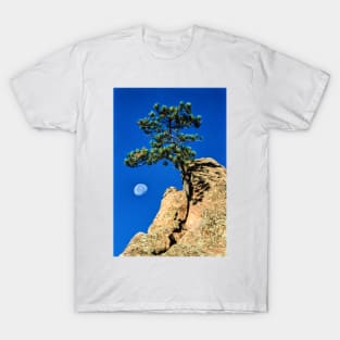 Moon Tree T-Shirt